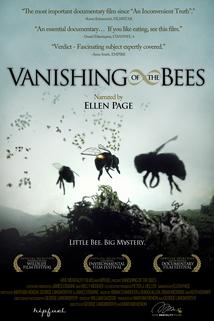 Profilový obrázek - Vanishing of the Bees