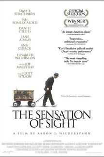 Sensation of Sight, The