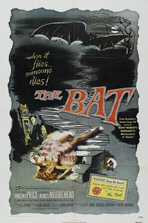 Profilový obrázek - The Bat