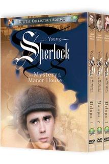 Profilový obrázek - Young Sherlock: The Mystery of the Manor House