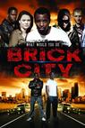 Brick City (2011)
