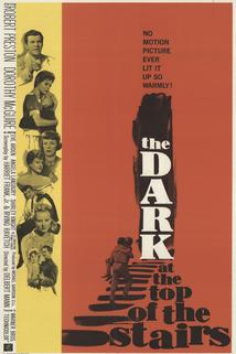 The Dark at the Top of the Stairs  - The Dark at the Top of the Stairs