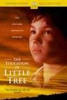 Škola malého stromu (1997)