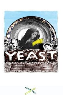 Profilový obrázek - Yeast