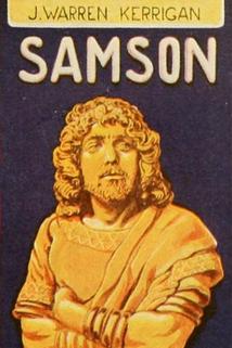 Profilový obrázek - Samson