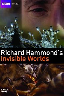 Profilový obrázek - Richard Hammond's Invisible Worlds