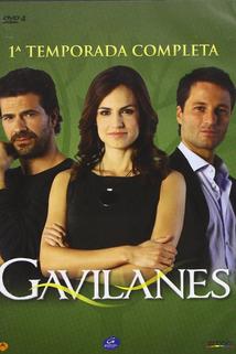 Profilový obrázek - Gavilanes