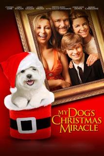 Profilový obrázek - My Dog's Christmas Miracle