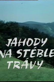 Profilový obrázek - Jahody na stéble trávy