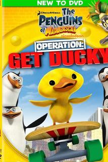 The Penguins of Madagascar: Operation - DVD Premiere