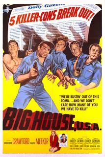 Profilový obrázek - Big House, U.S.A.