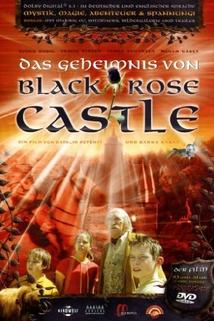 Profilový obrázek - The Mystery of Black Rose Castle