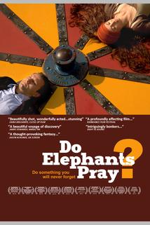 Profilový obrázek - Do Elephants Pray?