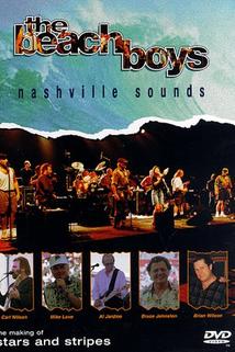Profilový obrázek - The Beach Boys: Nashville Sounds