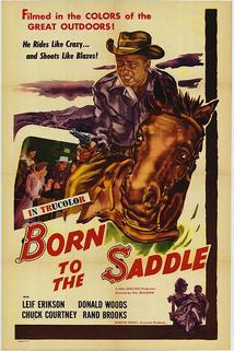 Profilový obrázek - Born to the Saddle