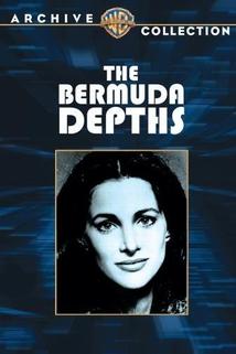 Profilový obrázek - The Bermuda Depths