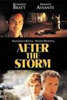 Po bouři (2001)