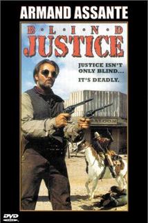 Slepá spravedlnost  - Blind Justice