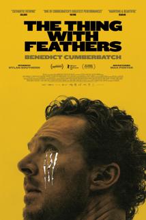 Profilový obrázek - Křídla smutku