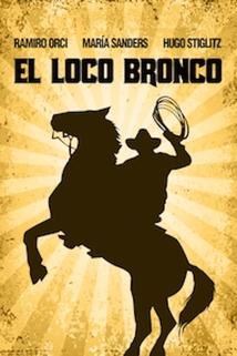 Profilový obrázek - El loco Bronco