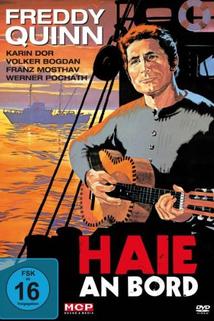 Profilový obrázek - Haie an Bord