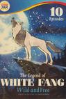 The Legend of White Fang 