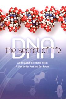 Profilový obrázek - DNA