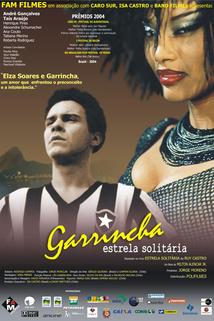 Profilový obrázek - Garrincha - Estrela Solitária
