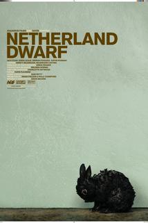 Profilový obrázek - Netherland Dwarf