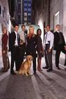 Sue Thomas: Agentka FBI (2002)