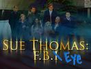 Sue Thomas: Agentka FBI 
