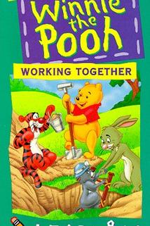 Profilový obrázek - Winnie the Pooh Learning: Working Together