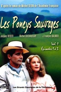 Profilový obrázek - Les poneys sauvages