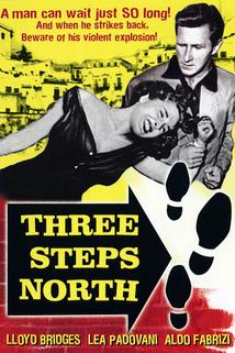 Three Steps North  - Three Steps North