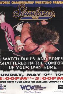 Profilový obrázek - WCW Slamboree 1999