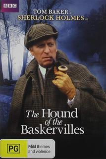 Profilový obrázek - The Hound of the Baskervilles