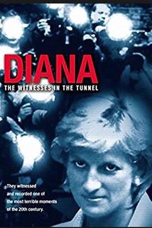 Profilový obrázek - Diana: The Witnesses in the Tunnel