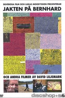 Profilový obrázek - Jakten på Bernhard