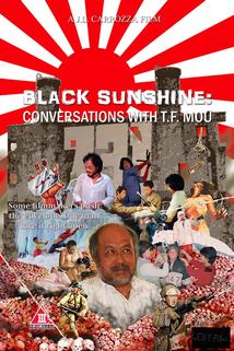 Profilový obrázek - Black Sunshine: Conversations with T.F. Mou