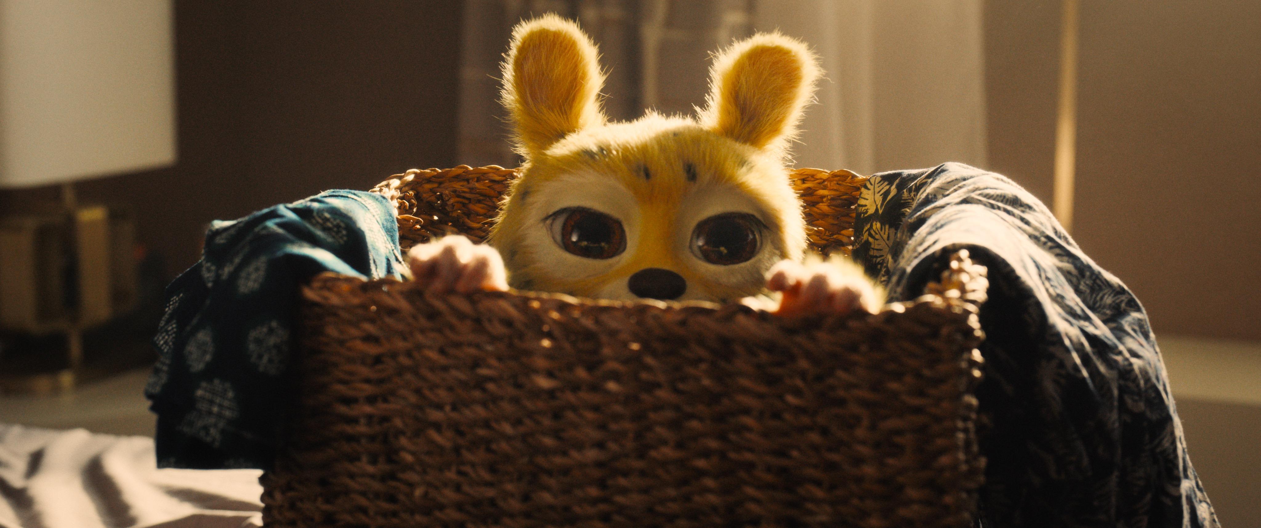 Bláznivý Marsupilami