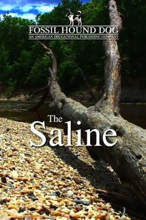 Profilový obrázek - Saline