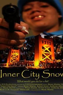 Profilový obrázek - Inner City Snow