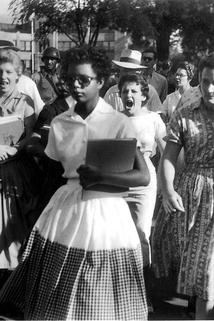 Profilový obrázek - Lessons from Little Rock: A National Report Card