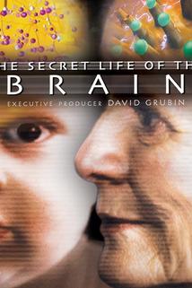 Profilový obrázek - The Secret Life of the Brain