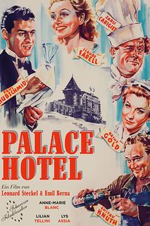 Profilový obrázek - Palace Hotel