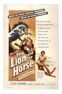 Profilový obrázek - The Lion and the Horse