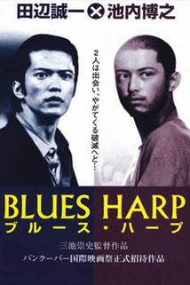 Profilový obrázek - Blues Harp