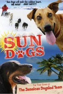 Profilový obrázek - Sun Dogs