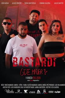 Profilový obrázek - Bastardi: Gde Majer?