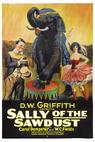 Sally of the Sawdust 